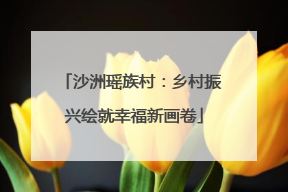 沙洲瑶族村：乡村振兴绘就幸福新画卷