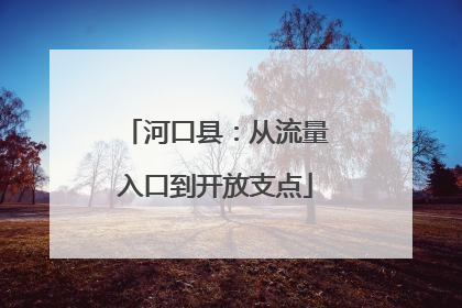 河口县：从流量入口到开放支点