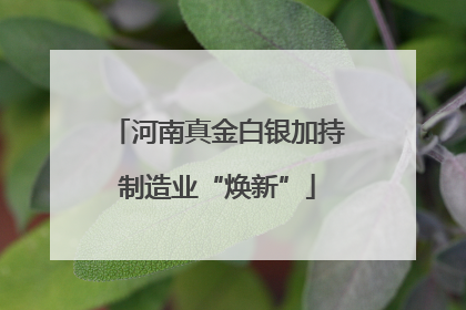 河南真金白银加持制造业“焕新”