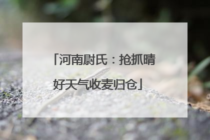 河南尉氏：抢抓晴好天气收麦归仓
