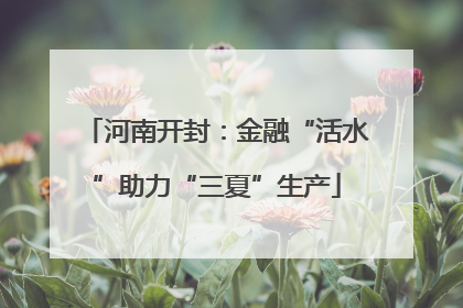 河南开封：金融“活水”助力“三夏”生产