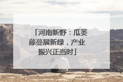 河南新野：瓜蒌藤蔓展新绿，产业振兴正当时