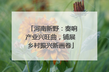 河南新野：奏响产业兴旺曲，铺展乡村振兴新画卷