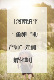 河南镇平：鱼卵“助产师”走俏孵化期