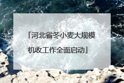 河北省冬小麦大规模机收工作全面启动