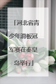 河北省青少年滑板冠军赛在秦皇岛举行