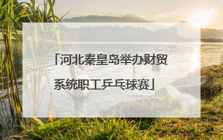 河北秦皇岛举办财贸系统职工乒乓球赛