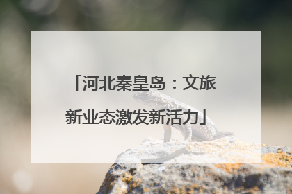 河北秦皇岛：文旅新业态激发新活力