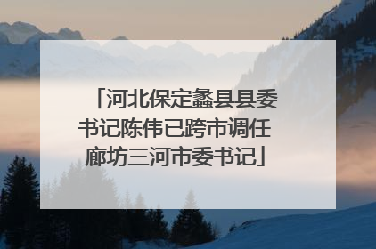 河北保定蠡县县委书记陈伟已跨市调任廊坊三河市委书记