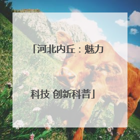 河北内丘：魅力科技 创新科普