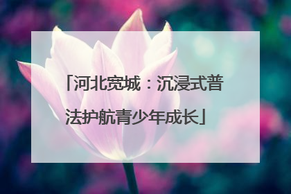 河北宽城：沉浸式普法护航青少年成长