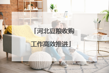 河北夏粮收购工作高效推进