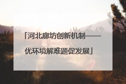 河北廊坊创新机制——优环境解难题促发展