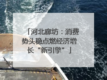 河北廊坊：消费势头稳点燃经济增长“新引擎”