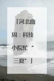 河北曲周：科技小院忙“三夏”