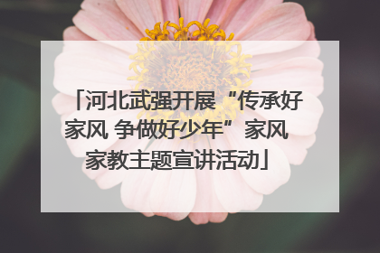 河北武强开展“传承好家风 争做好少年”家风家教主题宣讲活动