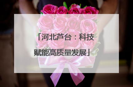 河北芦台：科技赋能高质量发展