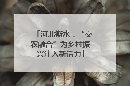 河北衡水：“交农融合”为乡村振兴注入新活力