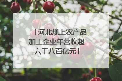 河北规上农产品加工企业年营收超六千八百亿元