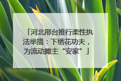 河北邢台推行柔性执法举措：下绣花功夫，为流动摊主“安家”