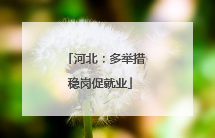 河北：多举措稳岗促就业