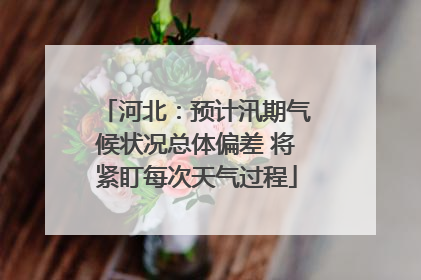 河北：预计汛期气候状况总体偏差 将紧盯每次天气过程