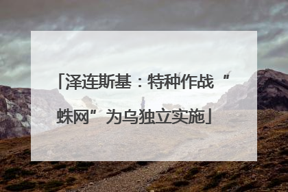 泽连斯基：特种作战“蛛网”为乌独立实施