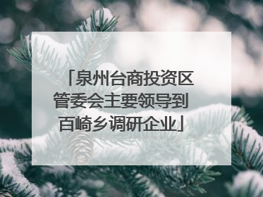 泉州台商投资区管委会主要领导到百崎乡调研企业