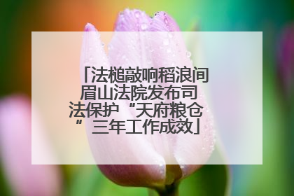 法槌敲响稻浪间 眉山法院发布司法保护“天府粮仓”三年工作成效