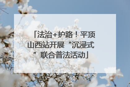 法治+护路！平顶山西站开展“沉浸式”联合普法活动