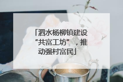 泗水杨柳镇建设“共富工坊”，推动强村富民