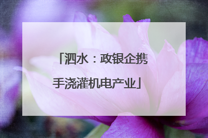 泗水：政银企携手浇灌机电产业