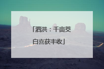 泗洪：千亩茭白喜获丰收