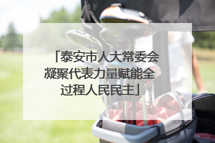 泰安市人大常委会凝聚代表力量赋能全过程人民民主