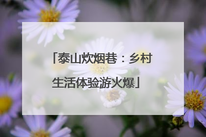 泰山炊烟巷：乡村生活体验游火爆