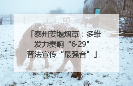 泰州姜堰烟草：多维发力奏响“6·29”普法宣传“最强音”