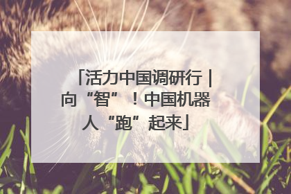 活力中国调研行｜向“智”！中国机器人“跑”起来