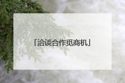 洽谈合作觅商机
