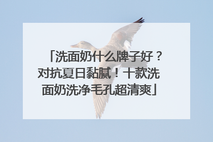 洗面奶什么牌子好？对抗夏日黏腻！十款洗面奶洗净毛孔超清爽
