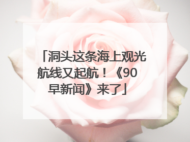洞头这条海上观光航线又起航！《90早新闻》来了