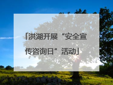 洪湖开展“安全宣传咨询日”活动