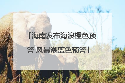 海南发布海浪橙色预警 风暴潮蓝色预警