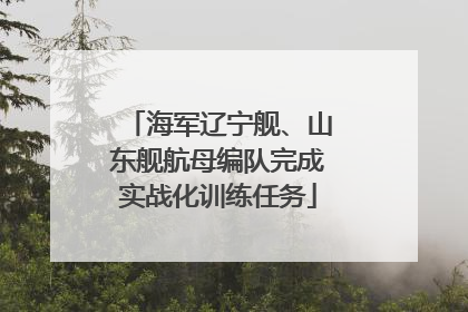 海军辽宁舰、山东舰航母编队完成实战化训练任务