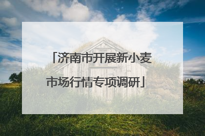 济南市开展新小麦市场行情专项调研