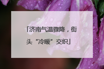 济南气温骤降，街头“冷暖”交织