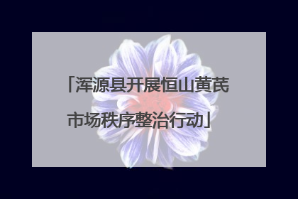 浑源县开展恒山黄芪市场秩序整治行动
