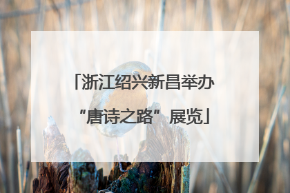 浙江绍兴新昌举办“唐诗之路”展览