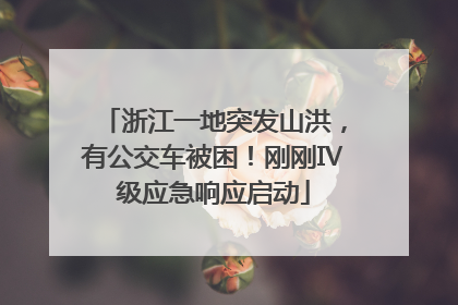 浙江一地突发山洪，有公交车被困！刚刚Ⅳ级应急响应启动