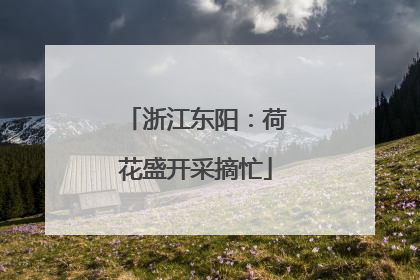 浙江东阳：荷花盛开采摘忙