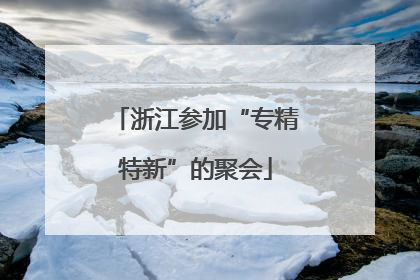 浙江参加“专精特新”的聚会